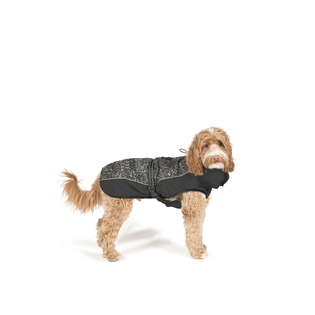 Koera mantel Dog Gone Smart Must 50 cm